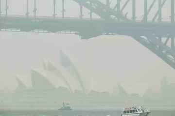Sydney Is Choking on Bushfire Smoke, Poorest Residents Struggling Most